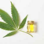 Why Try CBD Oils for Pets