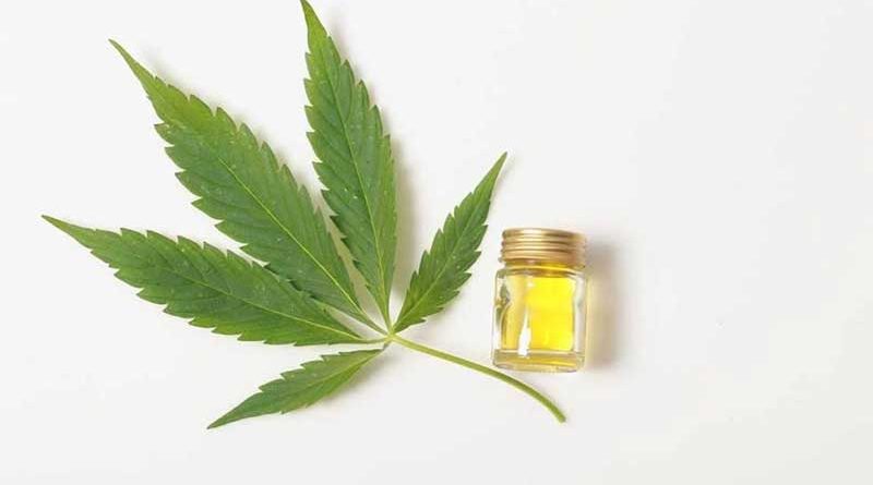 Why Try CBD Oils for Pets