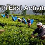 Activities to do in North East