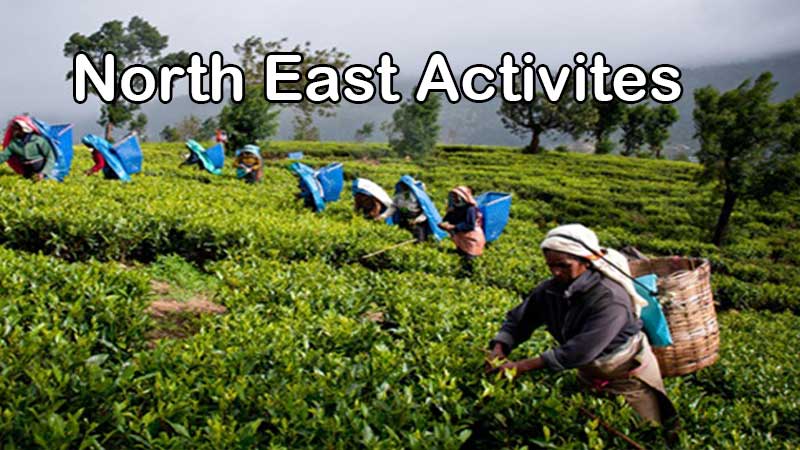 Activities to do in North East