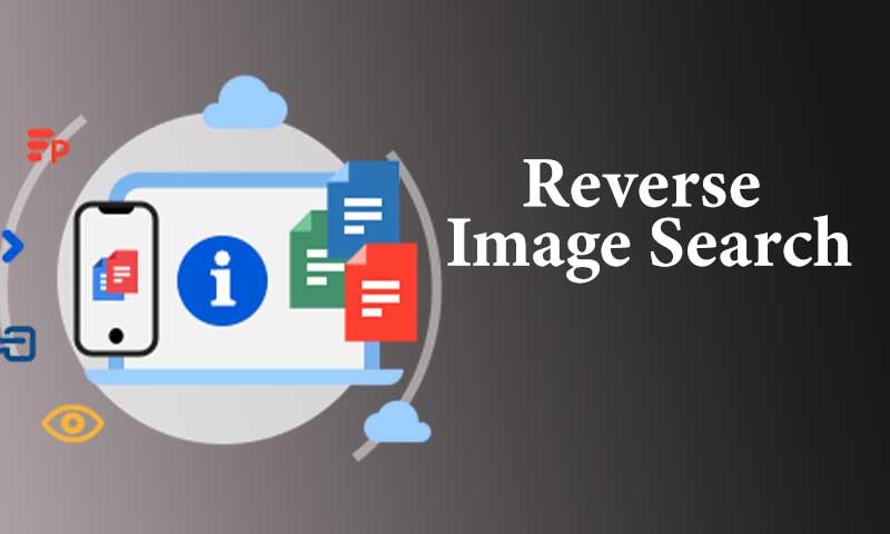 Right Images with Reverse Image Search