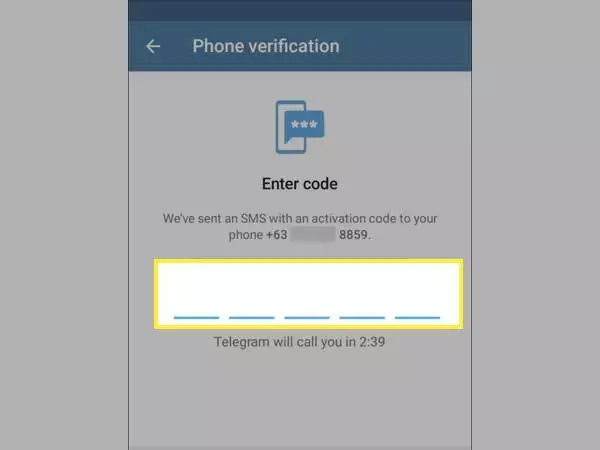 type Provide the verification code 