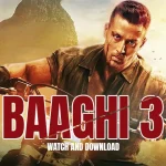 Baaghi 3