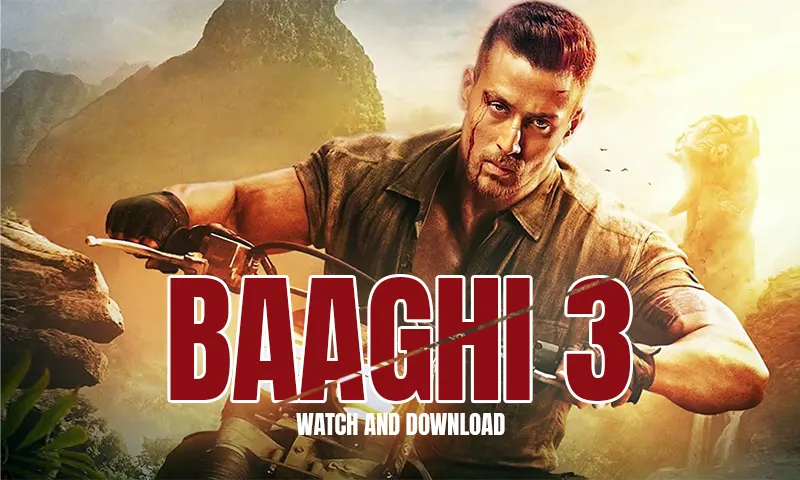 Baaghi 3