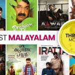 Best Malayalam Thriller Movies