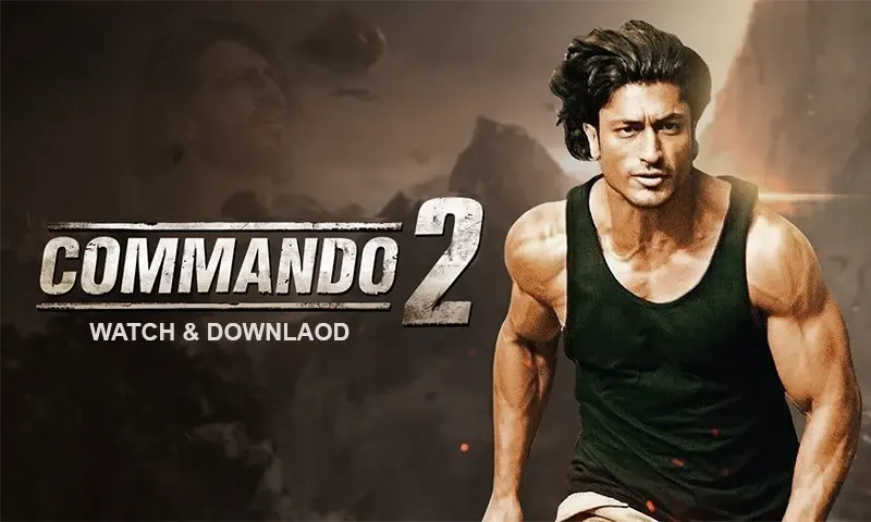 Commando 2