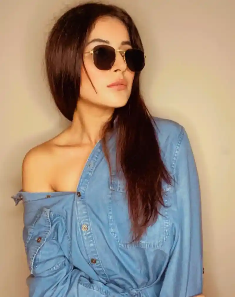 Shehnaaz Gill