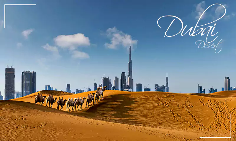 exploring the dubai desert with exciting activities