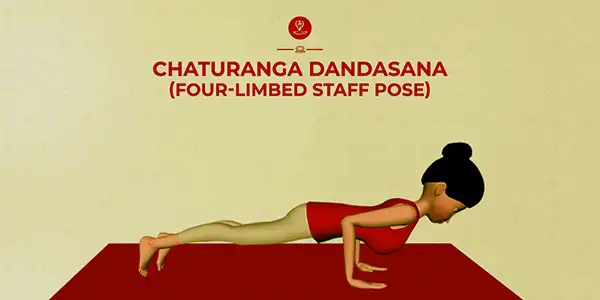 Krupa Chaturanga Dandasana