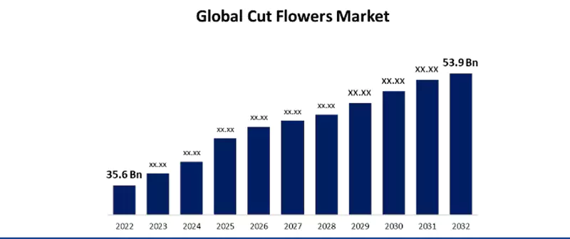 Global Cut Flowers Market from 2022-2032.
