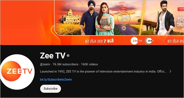 Top YouTube Subscribers Channel Zee TV