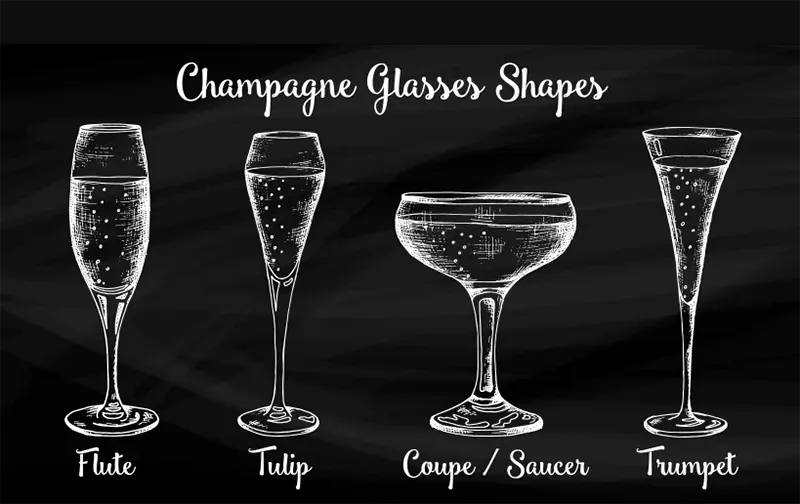  Types of Champagne Glass Shapes