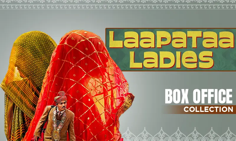 lapata ladies collection