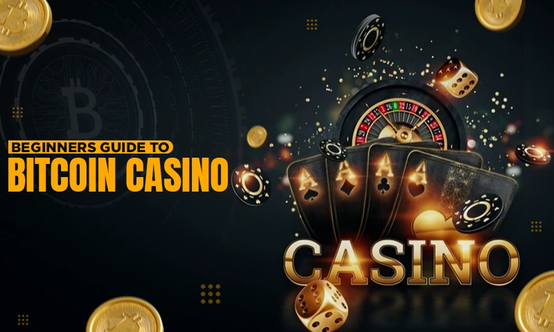 beginners guide to bitcoin casino